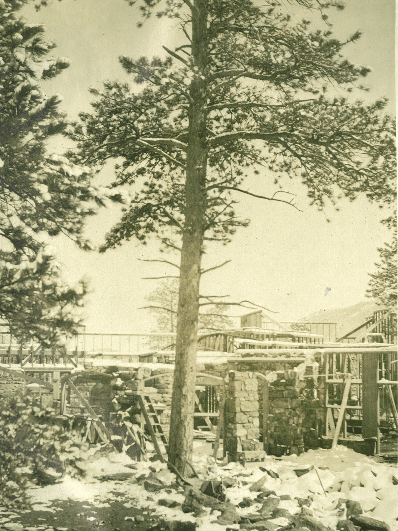 Manor House construction. This 1915 photo shows the
framing of the arches around the windows of what is the current day bar. Most of the distinctive grey rocks used to build Greystone were gathered on Krinder Peak on the southwest corner of the property, and drawn down to the Manor by a team of oxen. Credit: Roberts Family Collection