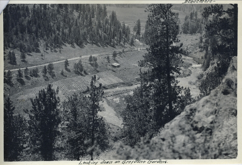 Upper Bear Creek Greystone Gardens. View from the Manor House patio down 300 feet to Upper Bear Creek to view Genevieve’s “Greystone Gardens.” She wanted Greystone to be self-sufficient by growing its own food and it was reported that she fancied herself to be a “genteel country woman.” Credit: Garrett Family Collection